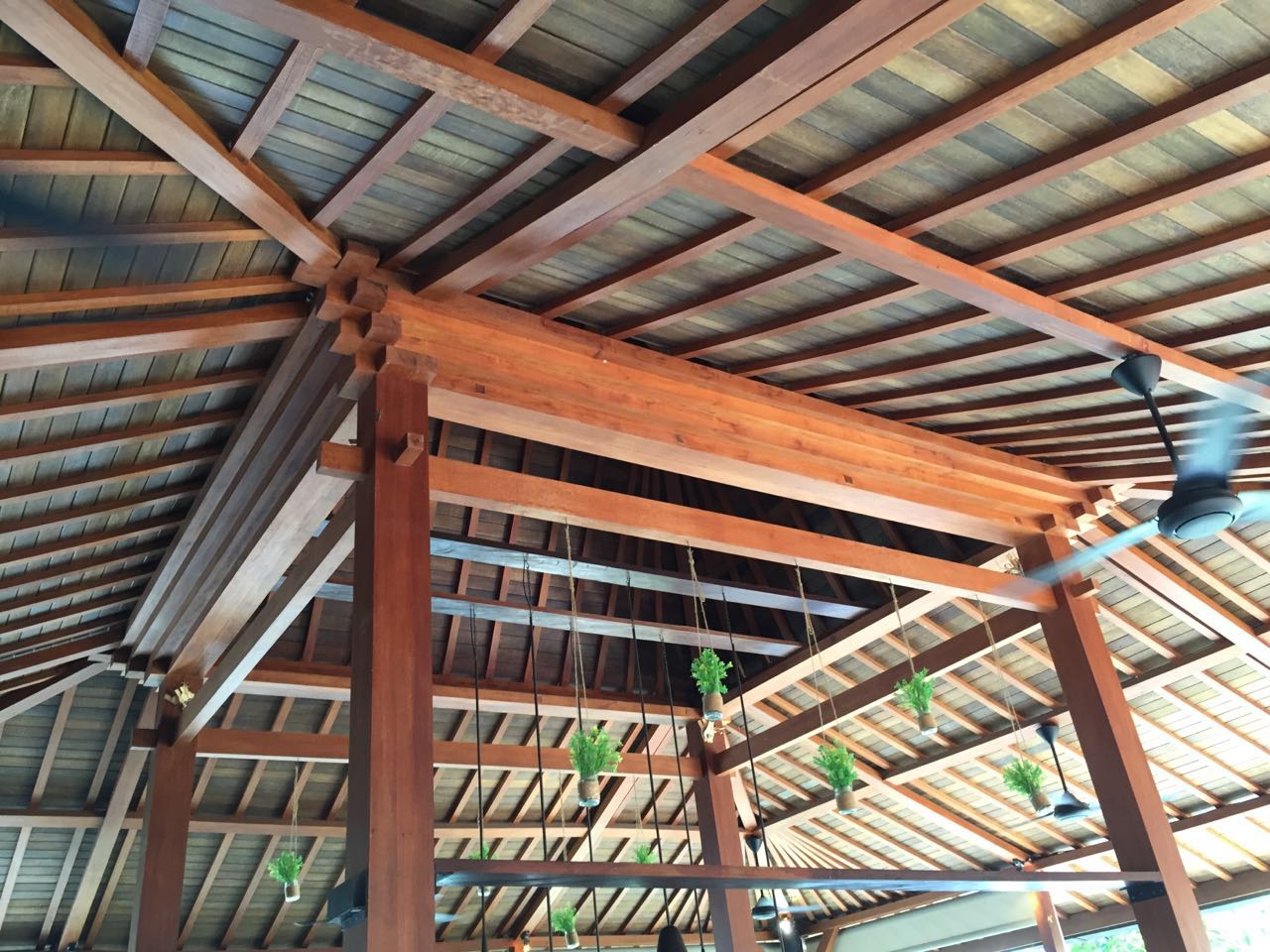 f59fd230-ebc0-401e-b559-50efc6594e85